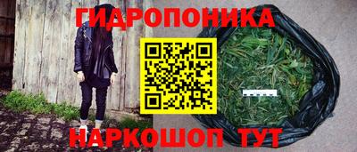 гидропоника Бугуруслан