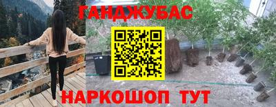 ГАЛЛЮЦИНОГЕННЫЕ ГРИБЫ Будённовск