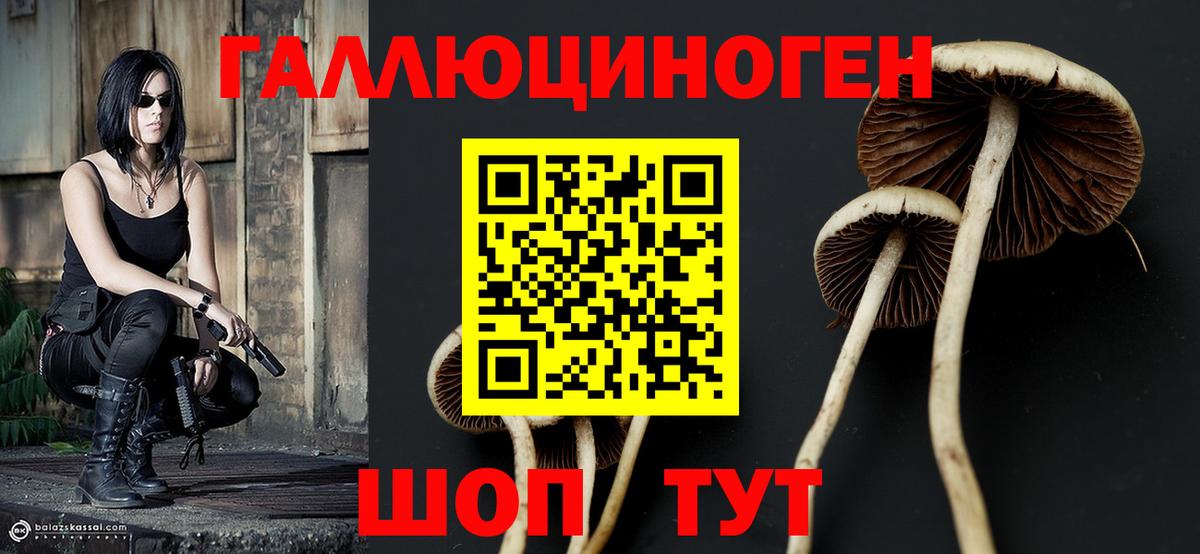 Псилоцибиновые грибы прущие грибы  Вход с VPN  Шатура 