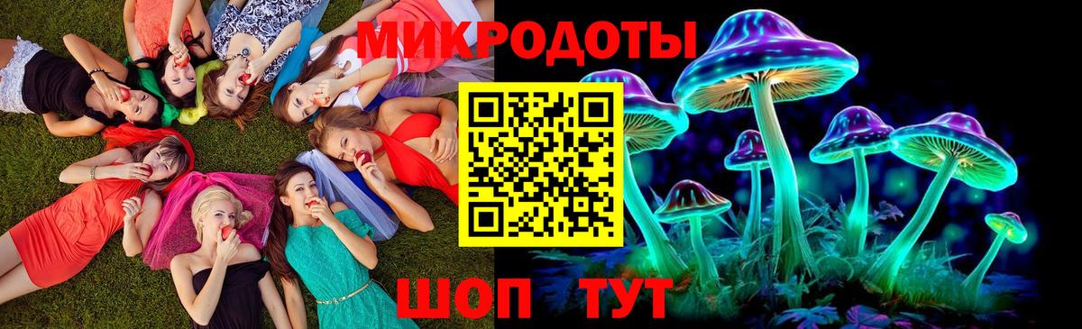 Галлюциногенные грибы Psilocybine cubensis Шатура